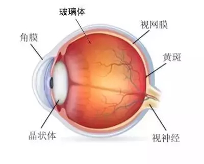 合肥华研白癜风医院在哪